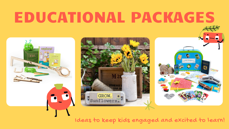 Educational Packages: Ideas to keep kids engaged and excited to learn!